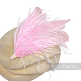 Ostrich & Stripped Coque Feather Mount
