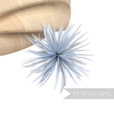 Goose Biot Feather Pom Hat Mount