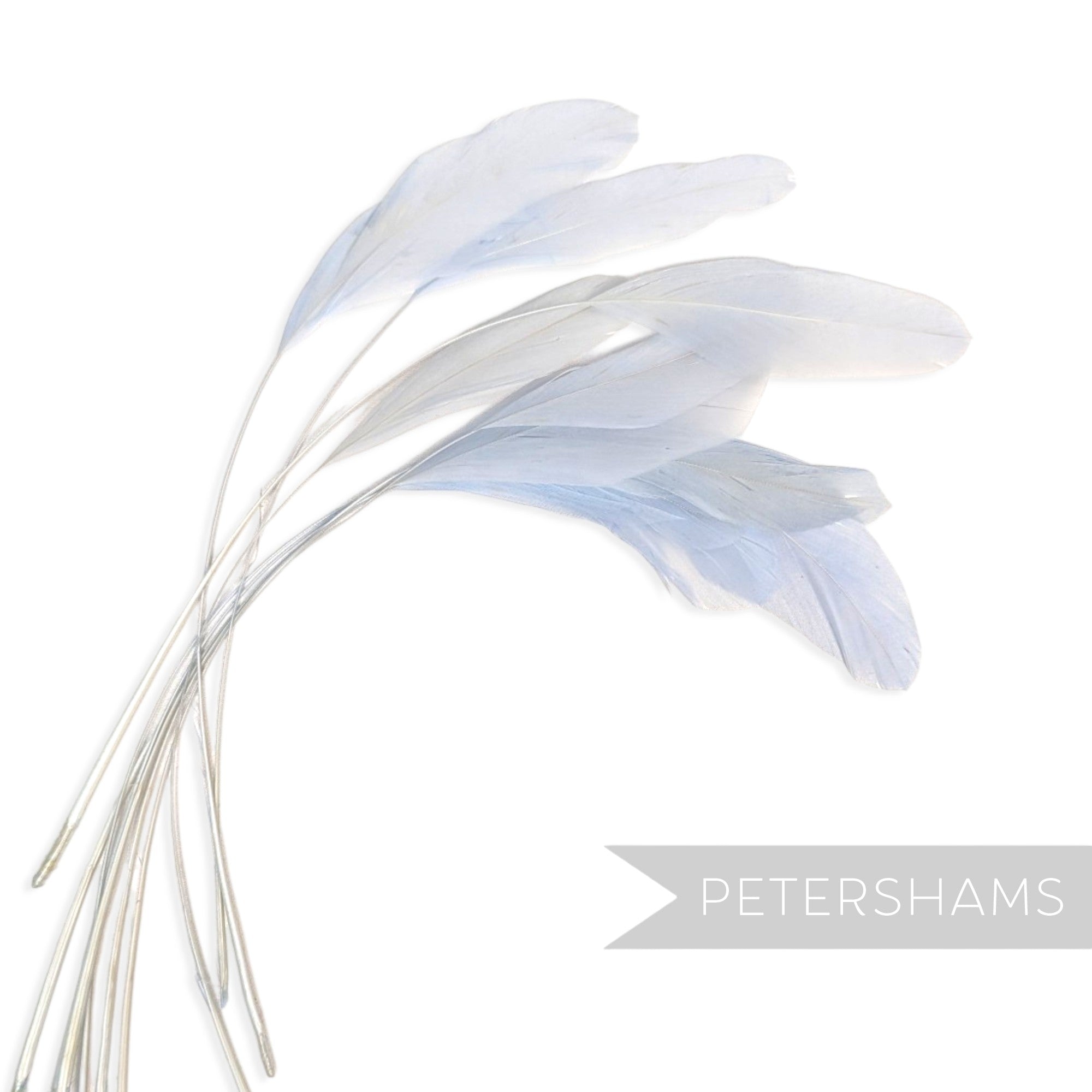 Long Loose Stripped Coque Feathers - Pack of 10