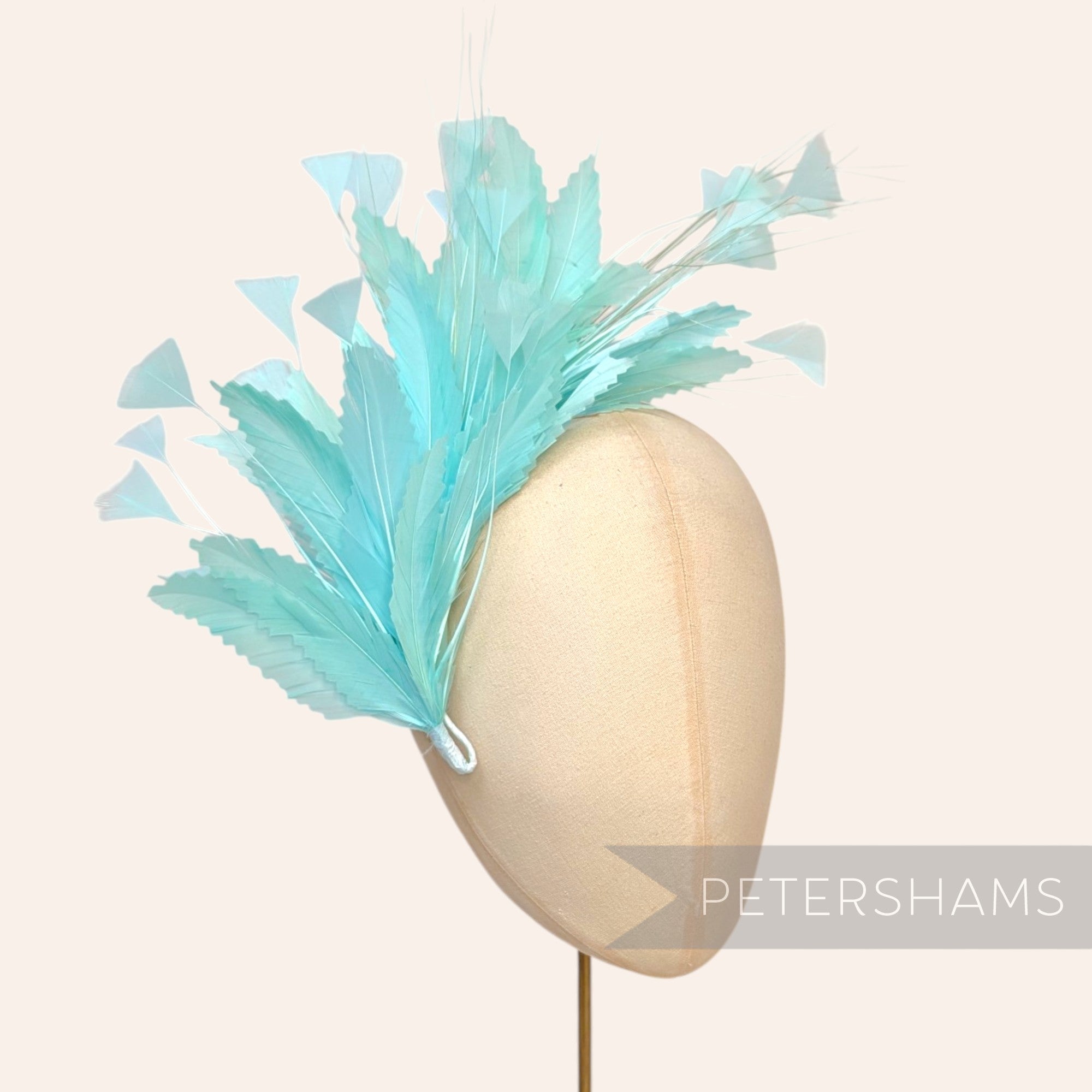 Large Zig Zag Goose, Coque & Peacock Feather Hat Mount