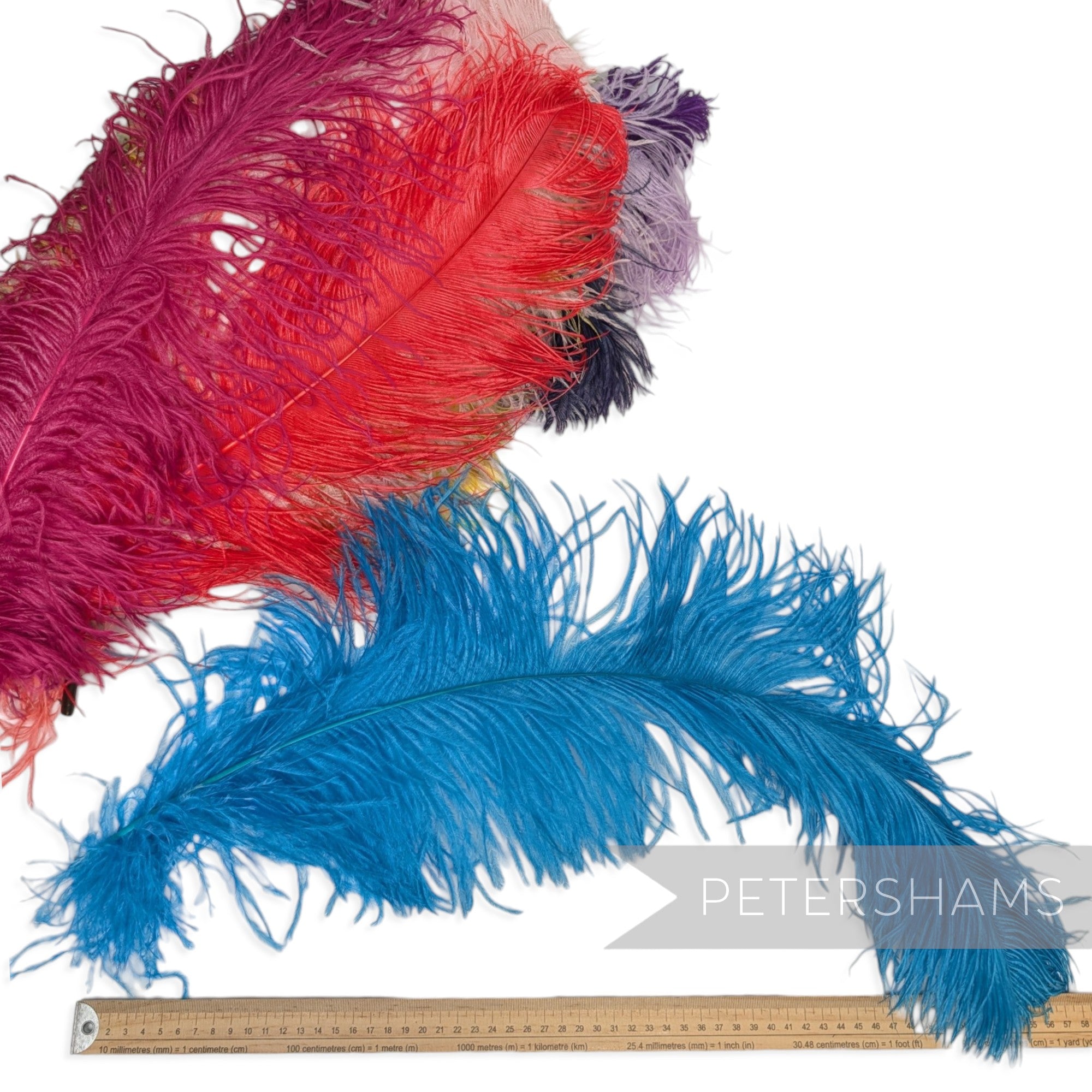 *One-off* Extra Large Prime Ostrich Feathers