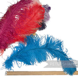*One-off* Extra Large Prime Ostrich Feathers
