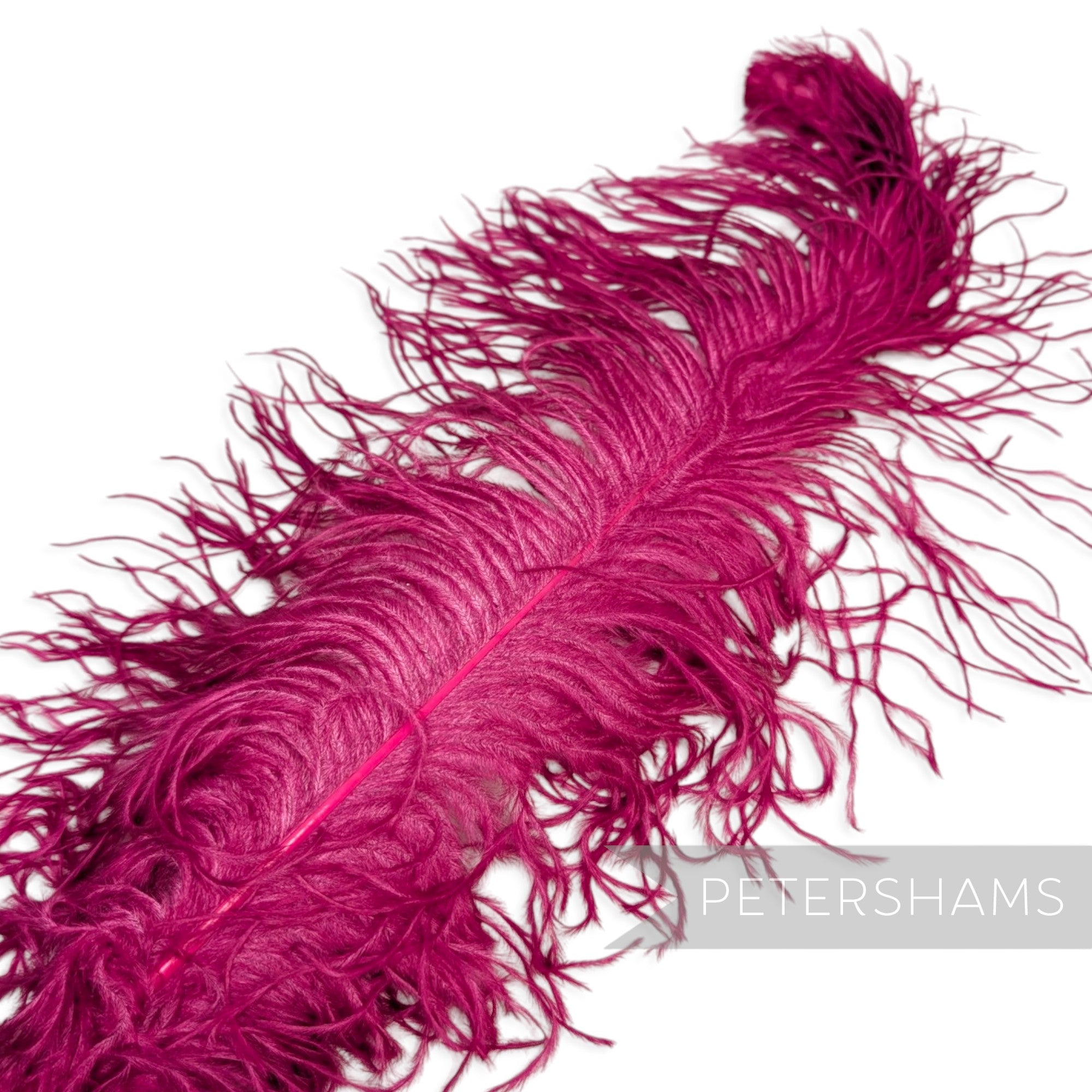*One-off* Extra Large Prime Ostrich Feathers