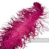 *One-off* Extra Large Prime Ostrich Feathers