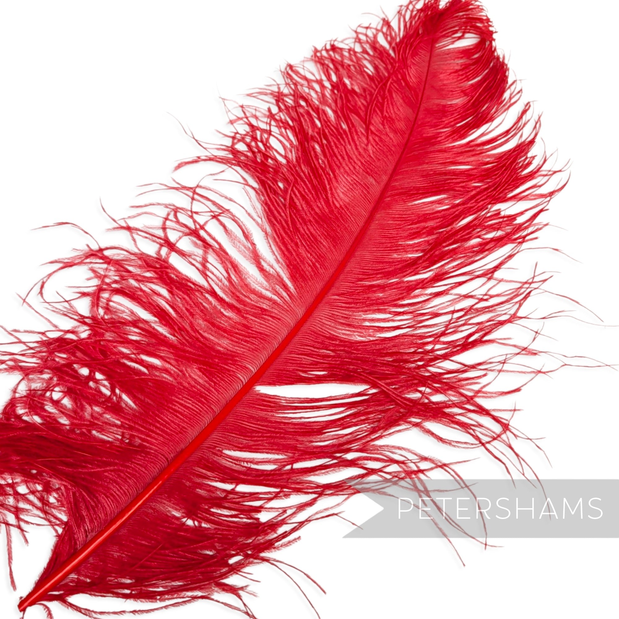 *One-off* Extra Large Prime Ostrich Feathers