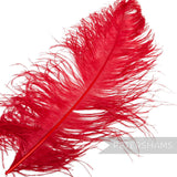 *One-off* Extra Large Prime Ostrich Feathers