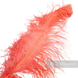 *One-off* Extra Large Prime Ostrich Feathers