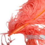 *One-off* Extra Large Prime Ostrich Feathers