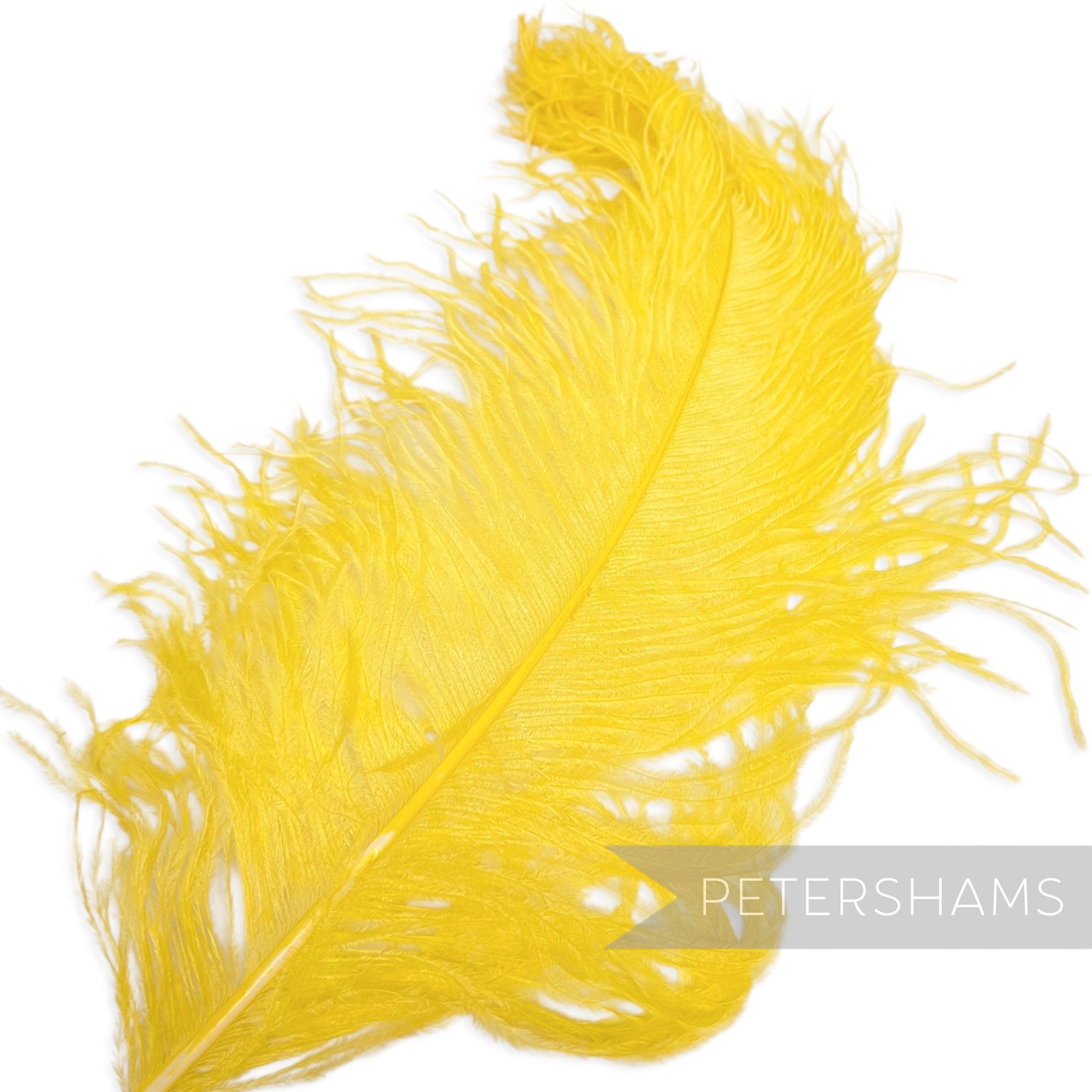 *One-off* Extra Large Prime Ostrich Feathers