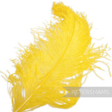 *One-off* Extra Large Prime Ostrich Feathers