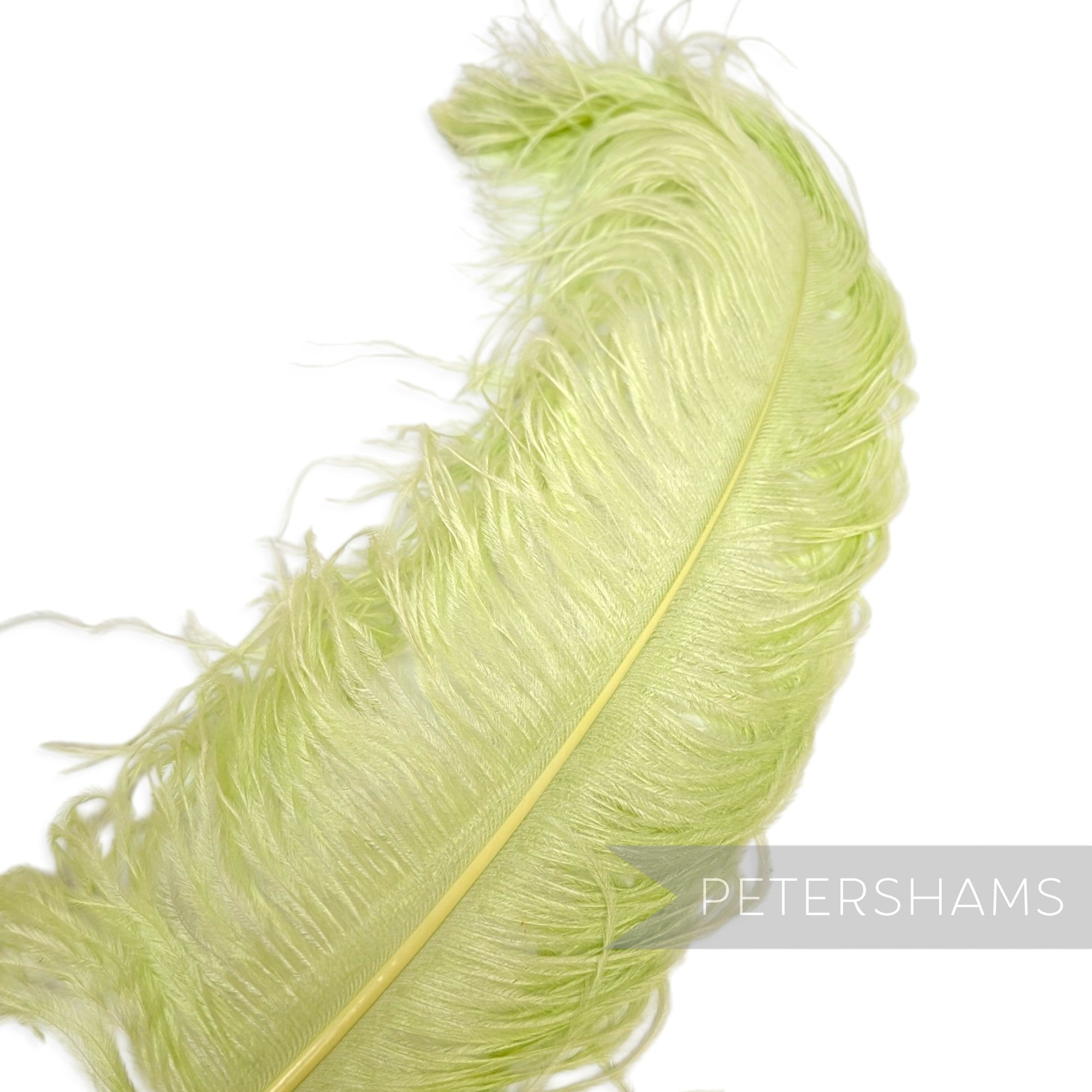 *One-off* Extra Large Prime Ostrich Feathers