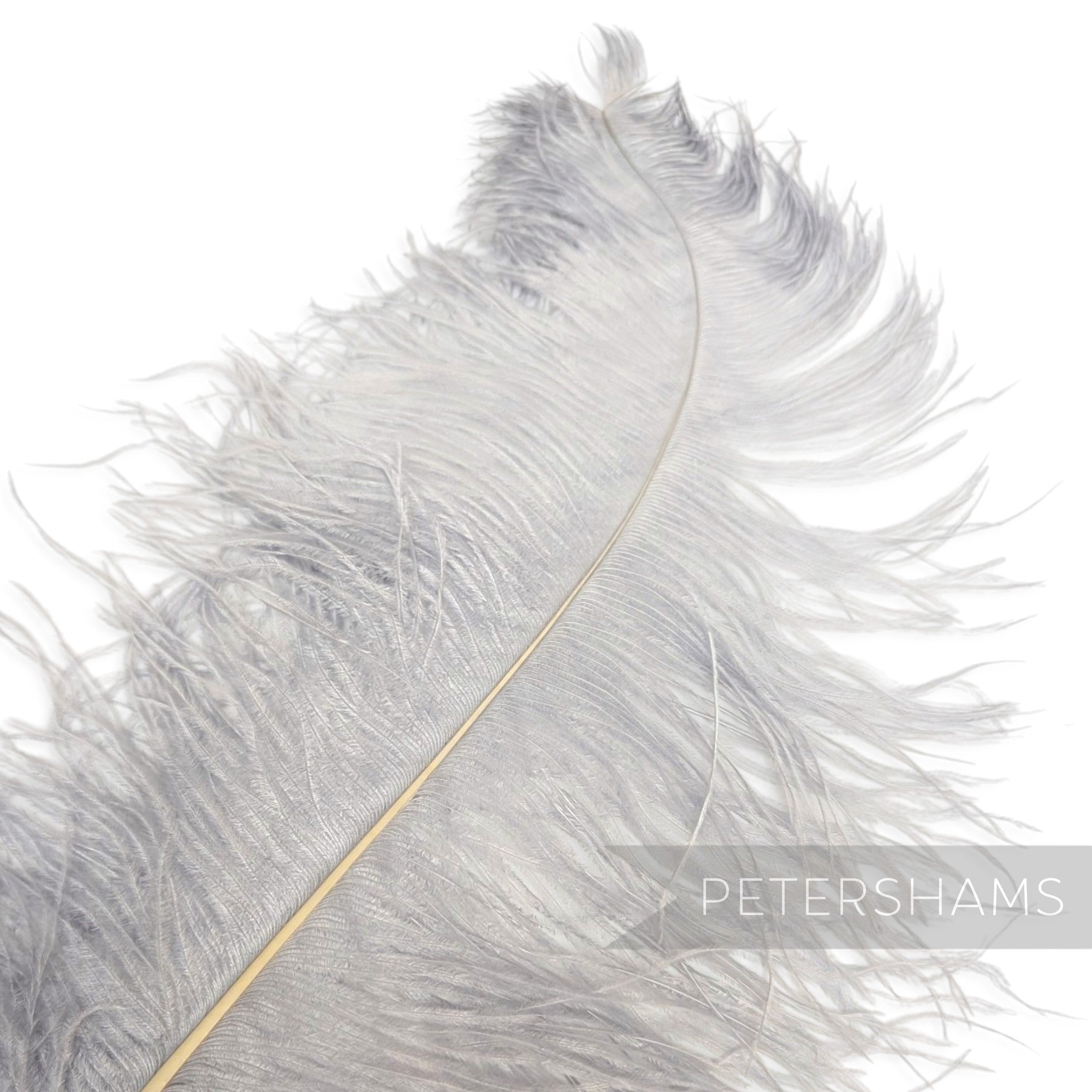 *One-off* Extra Large Prime Ostrich Feathers