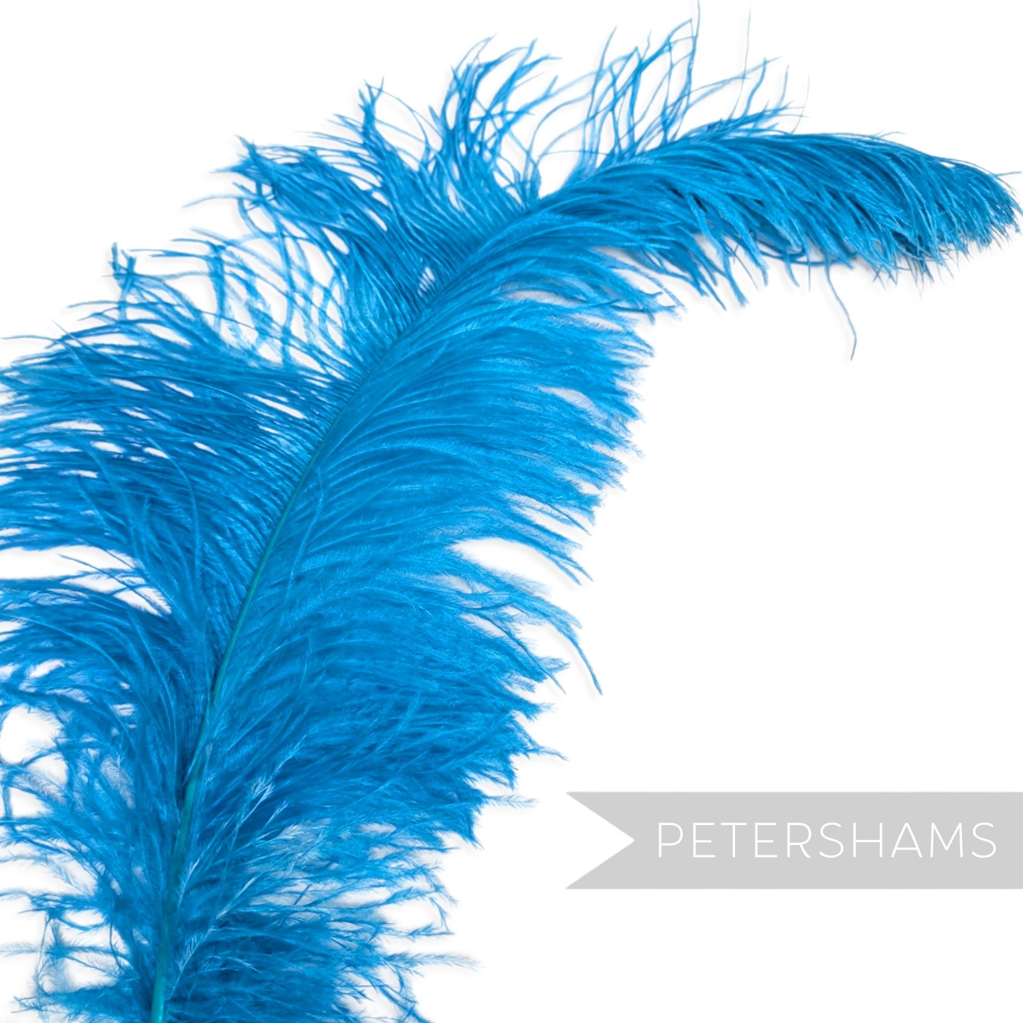 *One-off* Extra Large Prime Ostrich Feathers