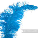 *One-off* Extra Large Prime Ostrich Feathers