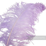 *One-off* Extra Large Prime Ostrich Feathers