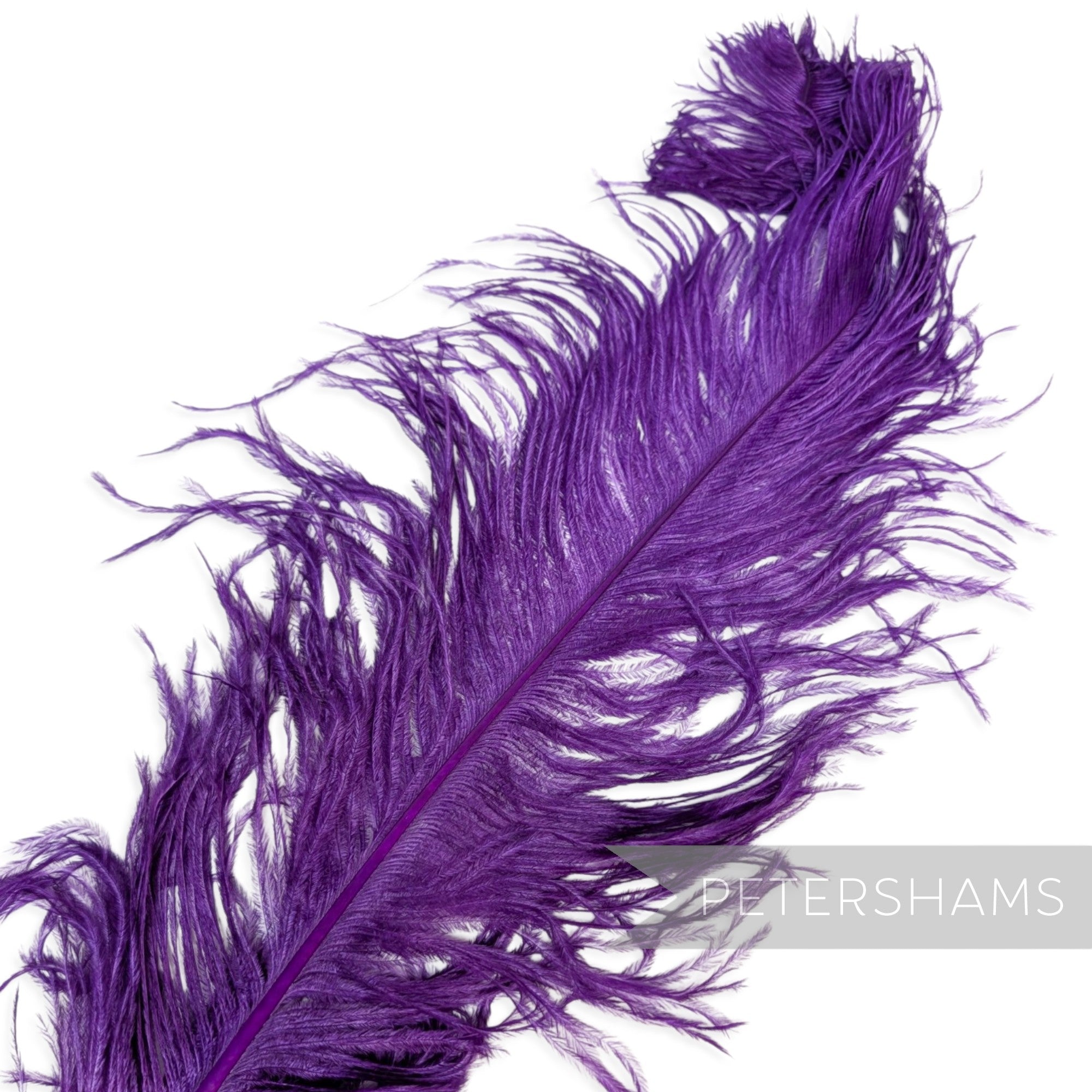 *One-off* Extra Large Prime Ostrich Feathers