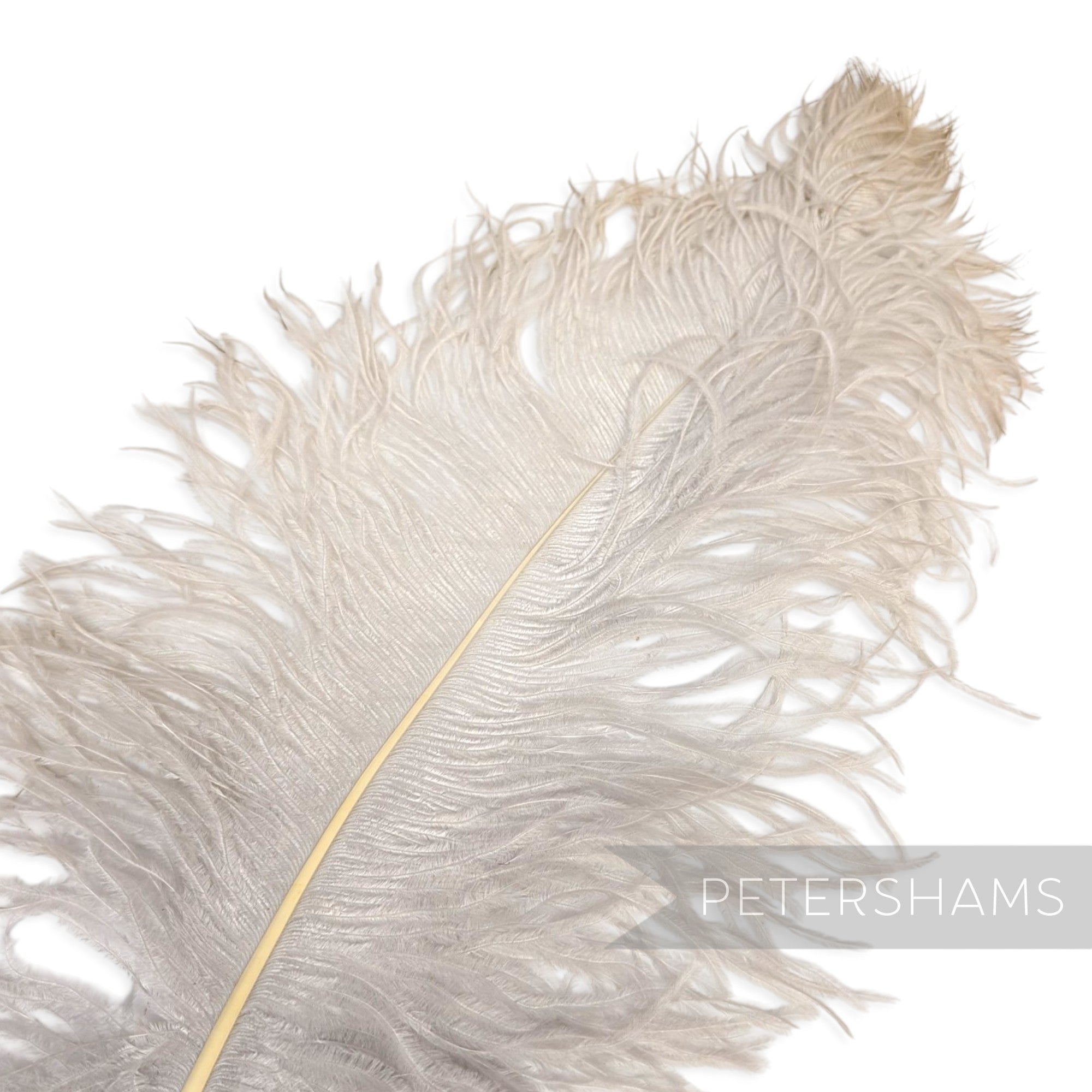 *One-off* Extra Large Prime Ostrich Feathers