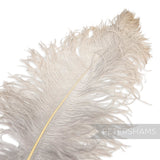 *One-off* Extra Large Prime Ostrich Feathers