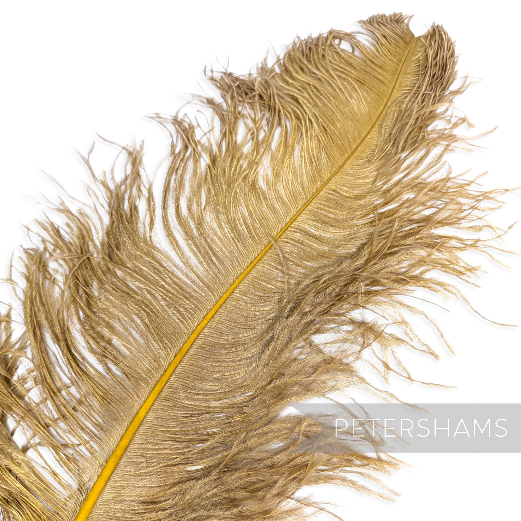 *One-off* Extra Large Prime Ostrich Feathers