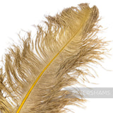 *One-off* Extra Large Prime Ostrich Feathers