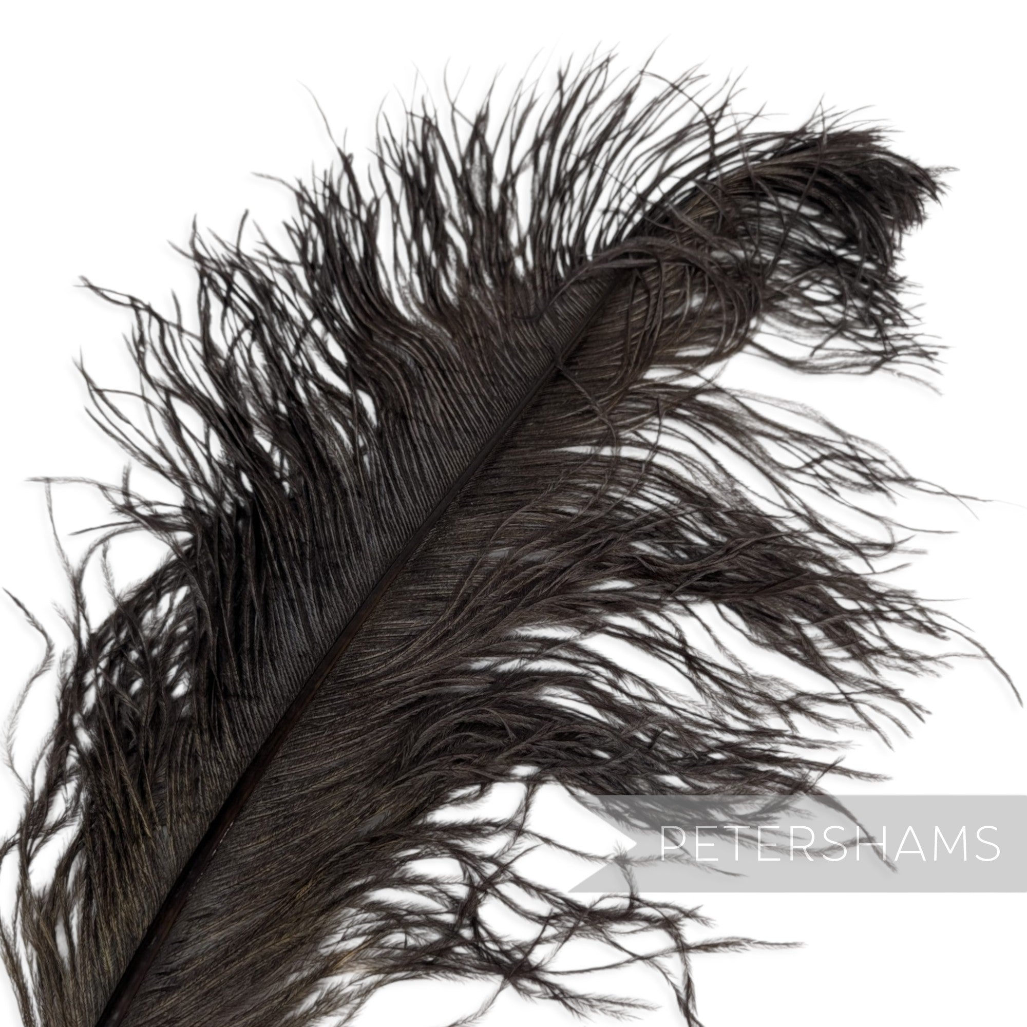 *One-off* Extra Large Prime Ostrich Feathers