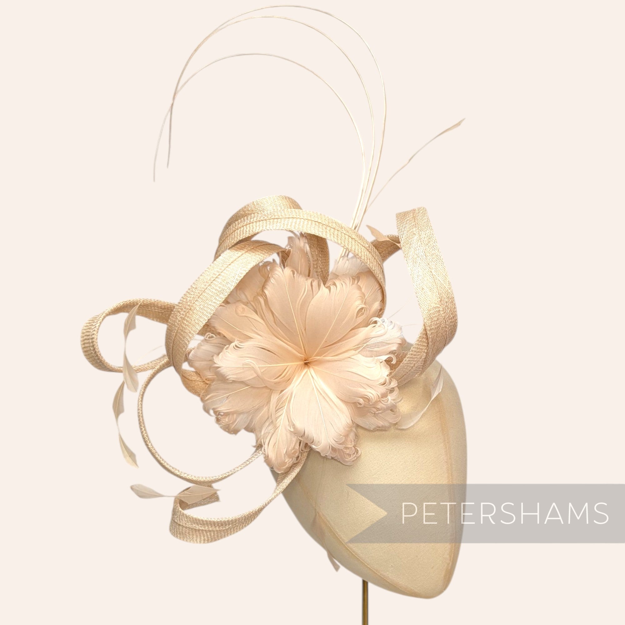 *One-off* Extra Large Curled Feather Flower, Diamond Coque and Looped Sinamay Mount