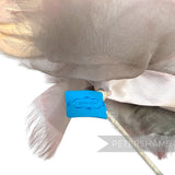 *One-off* Westwood Style 'Steyer' Frayed Ombre Organza Fabric Flower