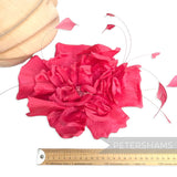 *Imperfect* XL 'Luci' Silk 23cm Rose Millinery Flower with Stripped Coque Feathers