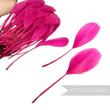 Stripped Goose Nagorie Feathers - Pack of 100