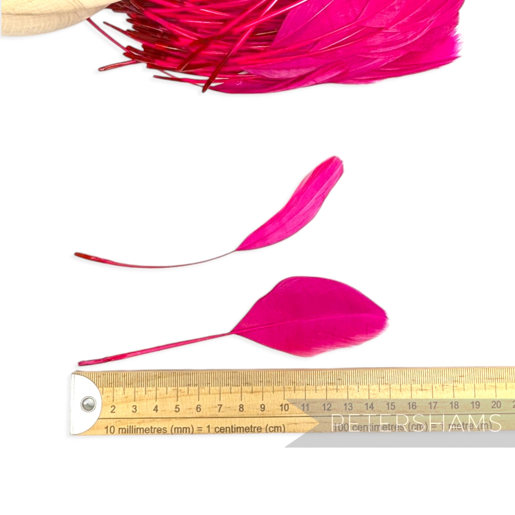 Stripped Goose Nagorie Feathers - Pack of 100