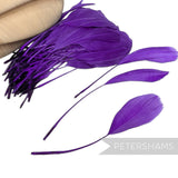 Stripped Goose Nagorie Feathers - Pack of 100