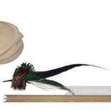 'Terrance' Large Peacock & Pheasant Feather Hat Mount