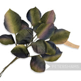 'Arwen' Vintage German 1960s Colour Stripe Wired Artificial Leaves