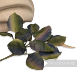 'Arwen' Vintage German 1960s Colour Stripe Wired Artificial Leaves