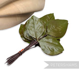 'Varda' Vintage 1960/70s Japanese Triple Glossy Rose Leaf - 24 stems