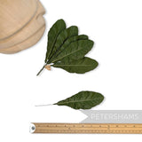 'Robelia' Cotton 16cm Vintage German Primrose Leaves - 12 Stems