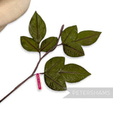'Ponty' 24cm Vintage 1980/90s Hand-Painted Japanese Wired Leaf Branch