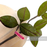 'Bronty' 20cm Vintage 1980/90s Hand-Painted Japanese Wired Leaf Branch
