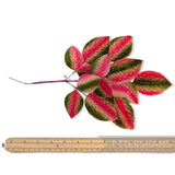 'Medium Anahi' Vintage 1950/60's Japanese Velvet Wired Millinery Leaf Spray