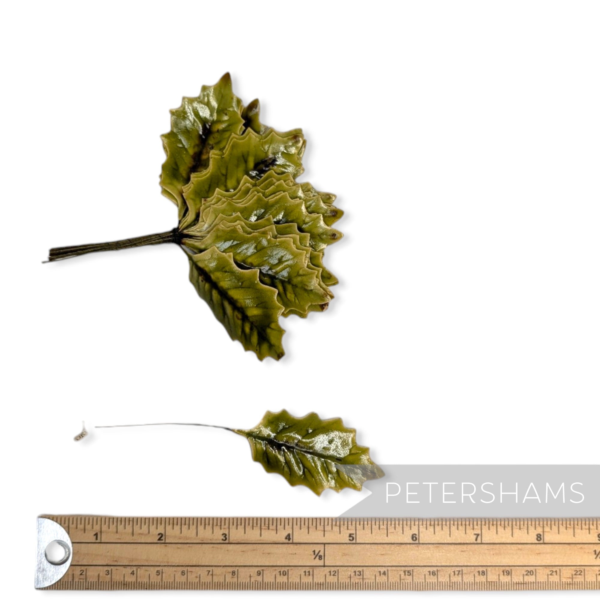 'New Noah' Vintage 1950s German Lacquered Holly Leaves - 24 stems