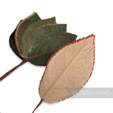 'Crimbo' Vintage 1950/60s Triple Ply Hand Painted Paper Leaves - 12 Stems