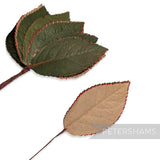 'Crimbo' Vintage 1950/60s Triple Ply Hand Painted Paper Leaves - 12 Stems