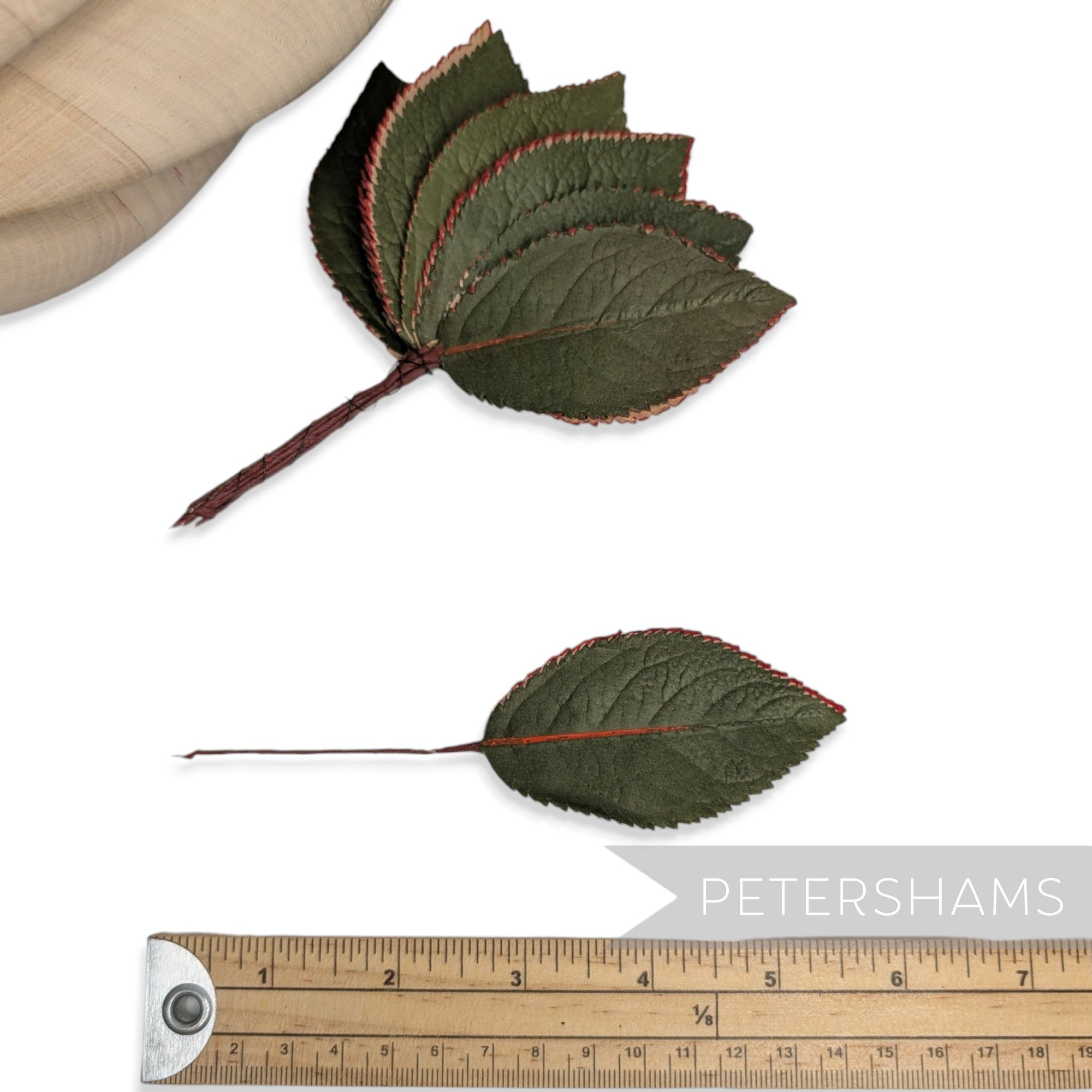 'Crimbo' Vintage 1950/60s Triple Ply Hand Painted Paper Leaves - 12 Stems