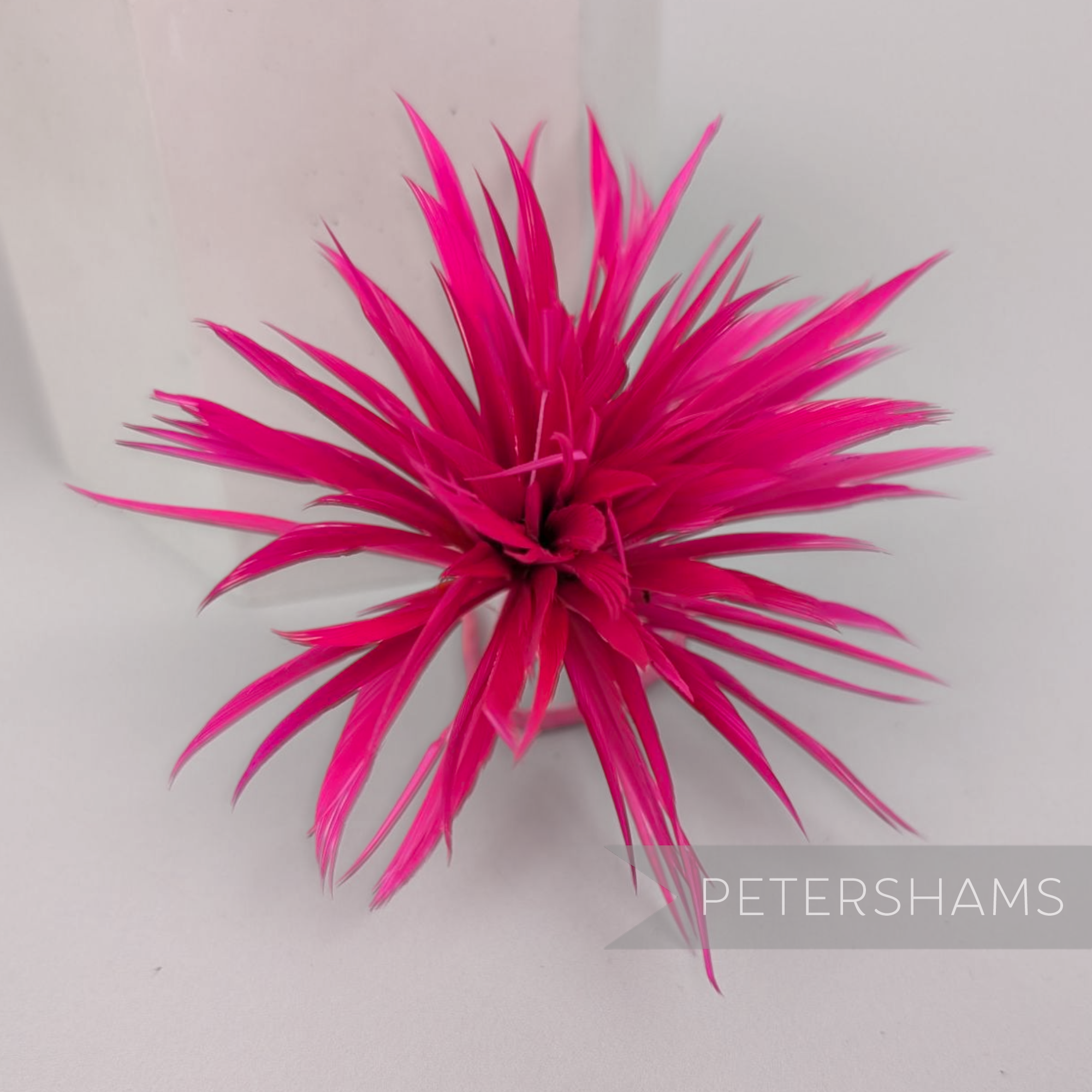 Goose Biot Feather Pom Hat Mount