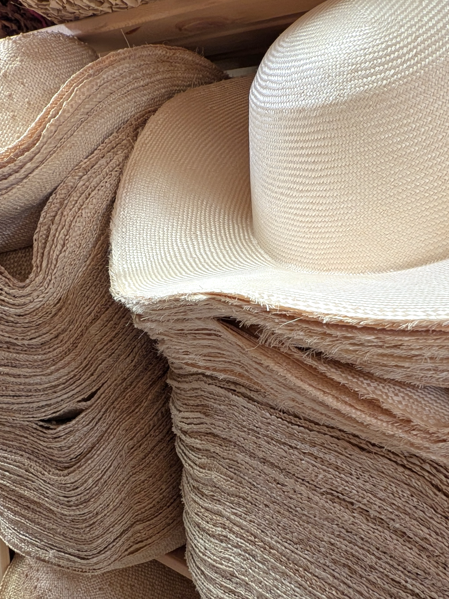 Petershams Warehouse Shopping Event