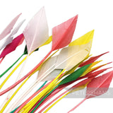 Petershams Millinery Supplies bundle of assorted colourful arrowhead feathers with slight imperfections