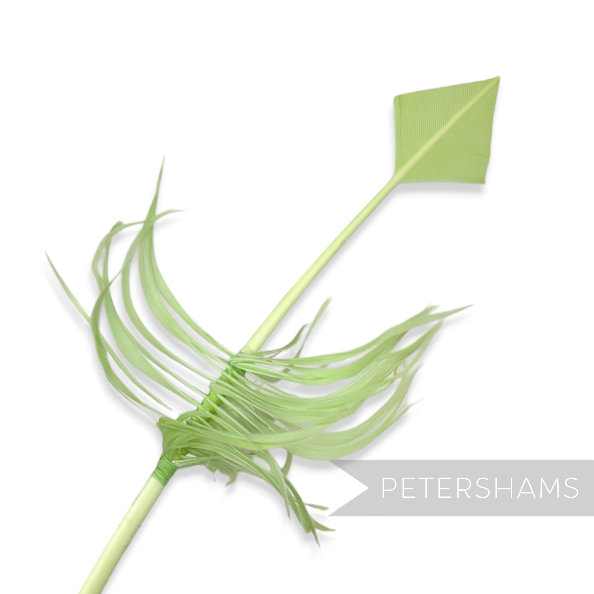 Petershams Millinery Supplies pomme turkey quill feather cut into an arrowhead shape with decorative barbs.