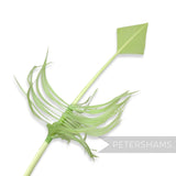 Petershams Millinery Supplies pomme turkey quill feather cut into an arrowhead shape with decorative barbs.