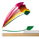 Petershams Millinery Supplies arrowhead turkey quill feathers in a vibrant rainbow gradient for hat decoration.