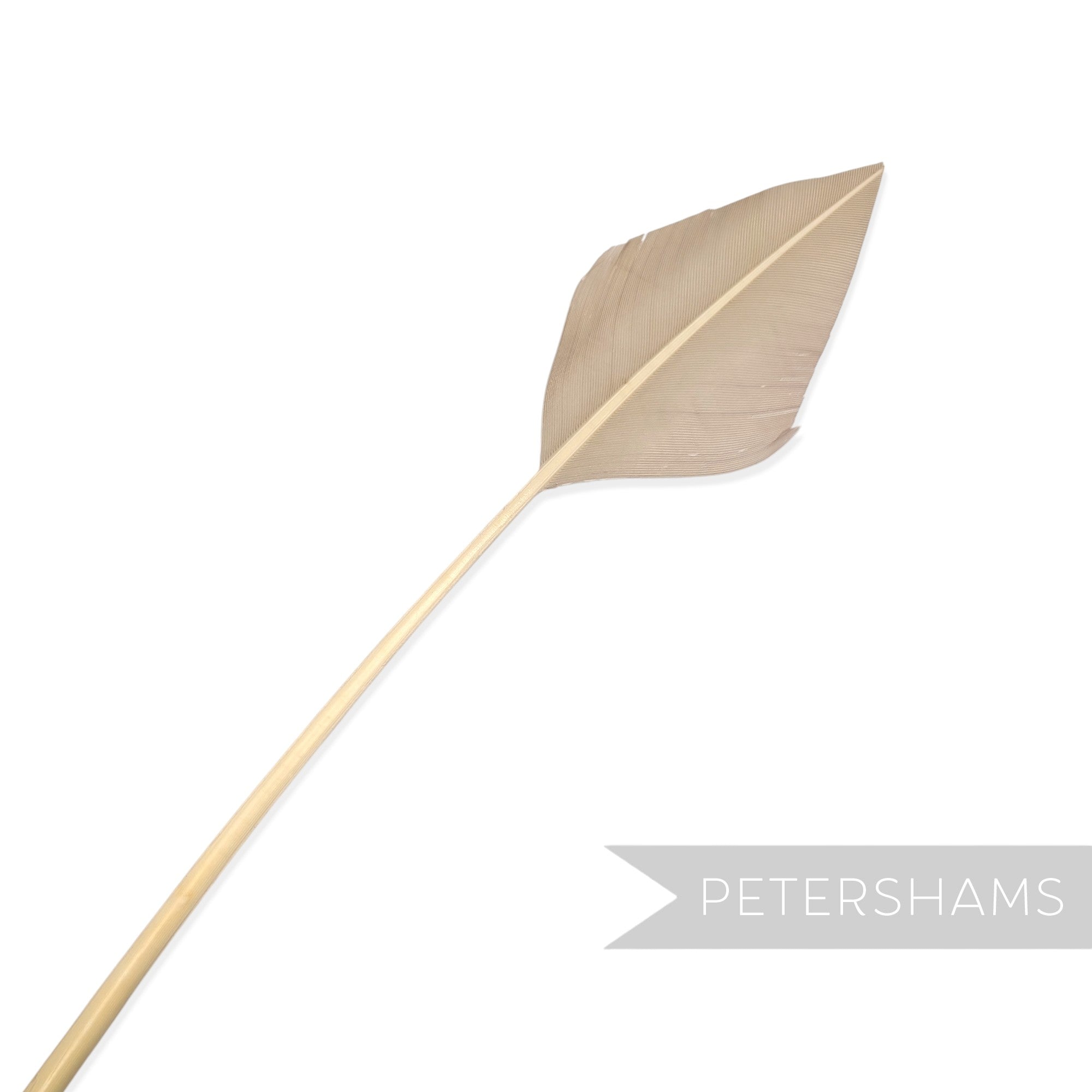 Petershams Millinery Supplies arrowhead turkey quill feather in light beige for hat and fascinator decoration